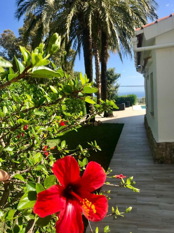 Villa Denia Costa Blanca Bagian luar foto