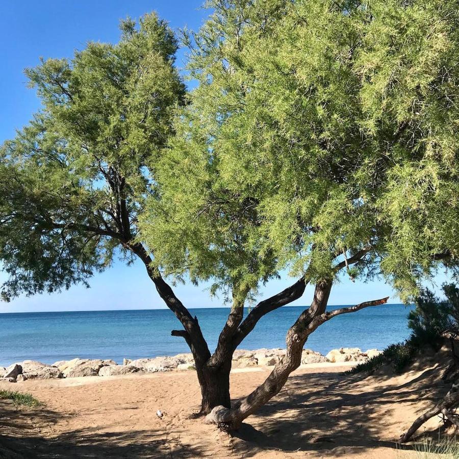 Villa Denia Costa Blanca Bagian luar foto